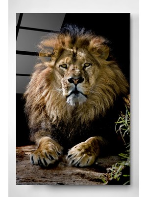 Hinora Aslan Cam Tablo, Dekoratif Cam Tablo