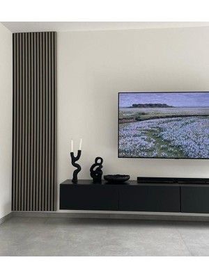 Joy Tv Ünitesi Tv Sehpası Alt Modül Siyah 240 Cm Mdf JOY TV ÜNİTESİ SİYAH