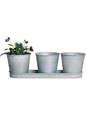 House2Home 3'lü Galvaniz Saksı