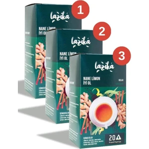 Nane Limon Koruma Çayı 20'li Piramit Poşet 3lü Set