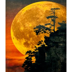 Ozan Tuhafiye Hı Stone 5d Elmas Boncuk Taş Işleme Mozaik Goblen Kit 50X40CM GC84286