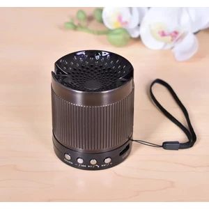 Bi Dünya İletişim Acl Renkli Mini Speaker