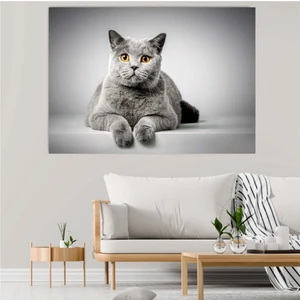 Sanatsal Dekoratif Duvar Tablosu