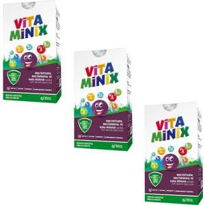 Edis Pharma Vitamınix Multivitamin,multimineral ve Kara Mürver Içeren Sıvı Takviye Gıda 150 ml 3 Adet