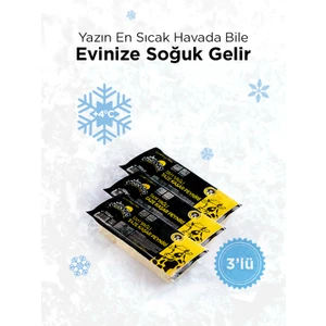 Taze Kaşar Peyniri 700 gr x 3