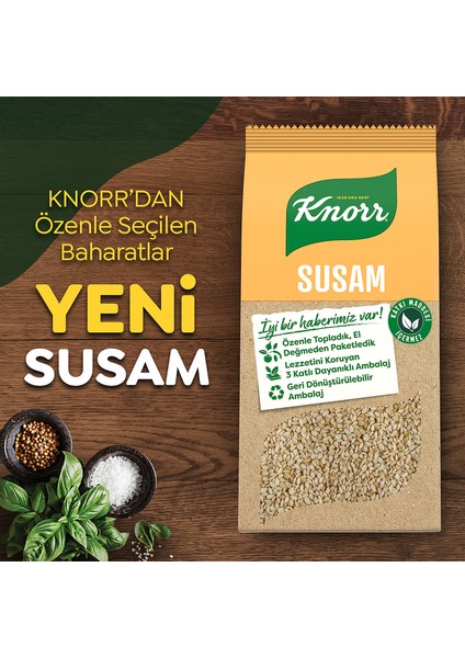 Baharat Serisi Susam 65 g indirimleri