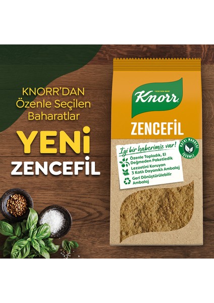 Baharat Serisi Zencefil 50 g indirimleri