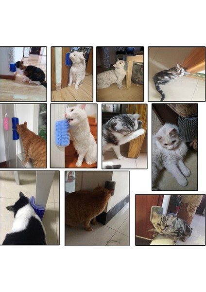 Kedi Kaşınma Aparatı Kaktüs Self Groomer
