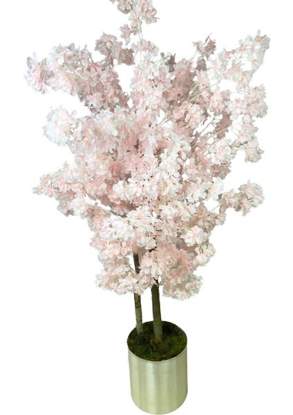 Japon Çiçeği Lüx Pembe Bahar Dalı 160 cm Yapay Ağaç 25X25 Metal Saksı