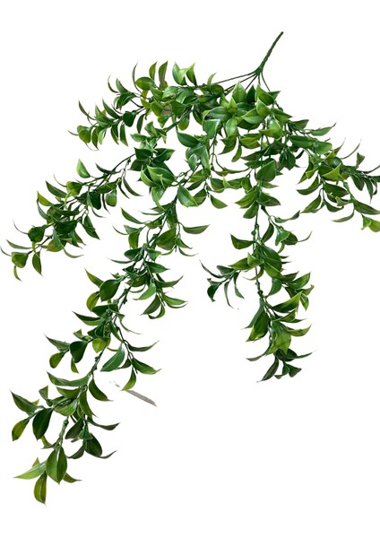 Yapay Koyu Yeşil Limon Çiçeği 5 Dallı Sarkıt 80X50 fiyatları