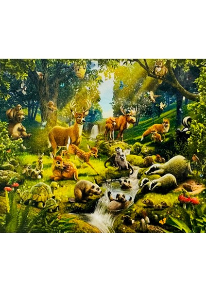 Hı Stone 5d Elmas Boncuk Taş Işleme Mozaik Goblen Kit 50X40CM GC84277