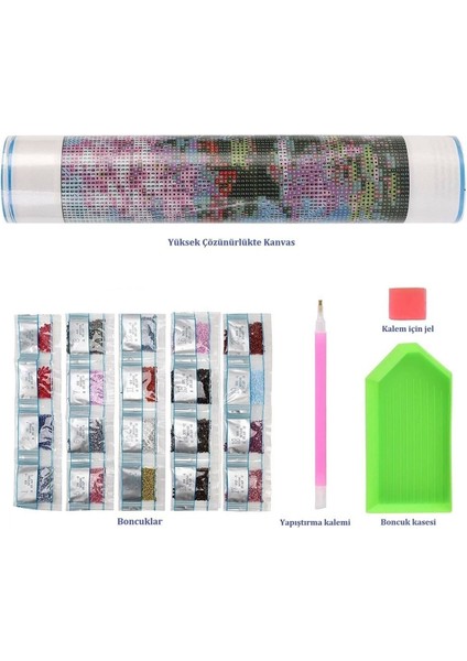 Hı Stone 5d Elmas Boncuk Taş Işleme Mozaik Goblen Kit 50X40CM GC73761