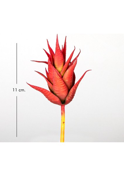 Yapay Kaktüs Sukulent Kırmızı 11 Cm. fırsatları