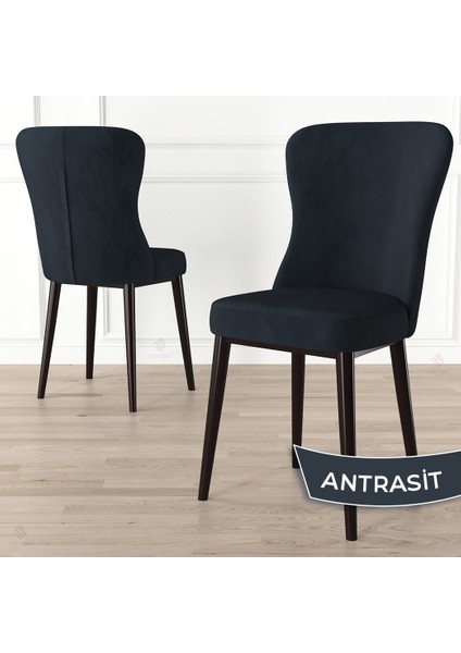 Concept Tita Serisi 4 Adet Mutfak Sandalyesi Metal Kahve Ayaklı 1. Sınıf Babyface Kumaş