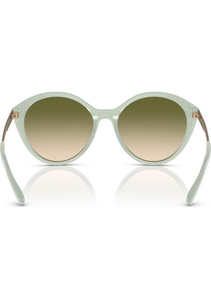 Kadın Güneş Gözlüğü modelleri