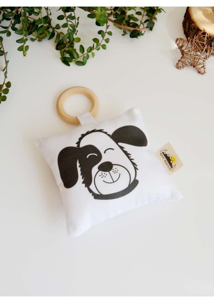 Köpek Diş Kaşıyıcı