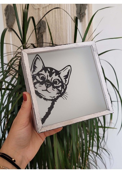 Ahşap Hazneli Beyaz Renkli Dikkat Kedi Çıkabilir Konseptli Kumbara