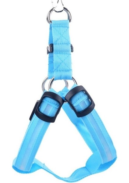 LED Işıklı Kedi Köpek Göğüs Tasması Küçük Irk Harness Air Mash Evcil Hayvan Ayarlanabilir Tasma
