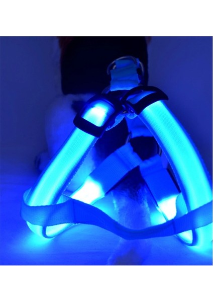 LED Işıklı Kedi Köpek Göğüs Tasması Küçük Irk Harness Air Mash Evcil Hayvan Ayarlanabilir Tasma modelleri