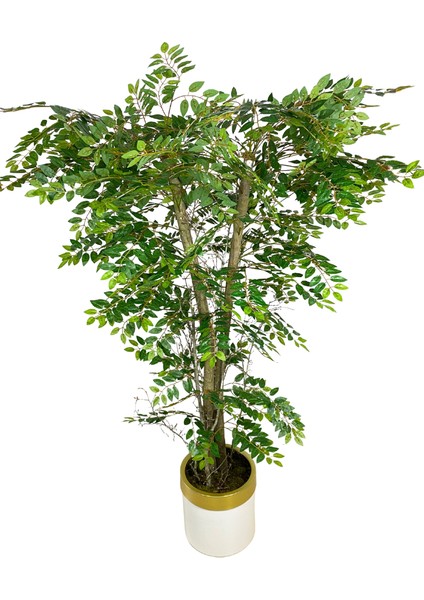 2 Gövdeli Şeflara Yapay Ağaç 180 cm 30X25 Gold Kemerli Siyah Saksı