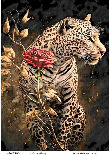 Pirinç Dekopaj Kağıdı LA-AG81