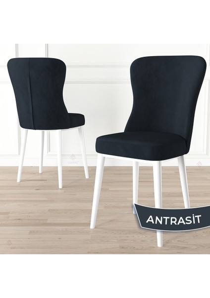 Concept Tita Serisi 6 Adet Mutfak Sandalyesi Metal Beyaz Ayaklı 1. Sınıf Babyface Kumaş fiyatları