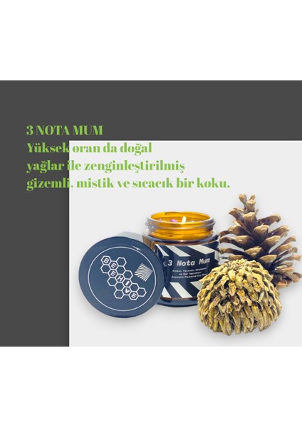 3 Nota Hediyelik Mum Doğal Aromatik Soya Mumu Esansiyel Amber Yasemin Okaliptüs Notları Kokusu