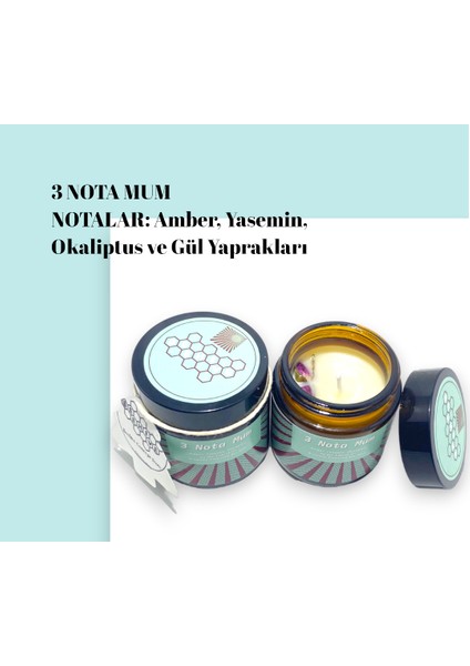 3 Nota Hediyelik Mum Doğal Aromatik Soya Mumu Esansiyel Amber Yasemin Okaliptüs Kokulu