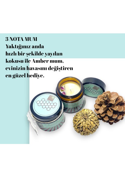 3 Nota Hediyelik Mum Doğal Aromatik Soya Mumu Esansiyel Amber Yasemin Okaliptüs Kokulu