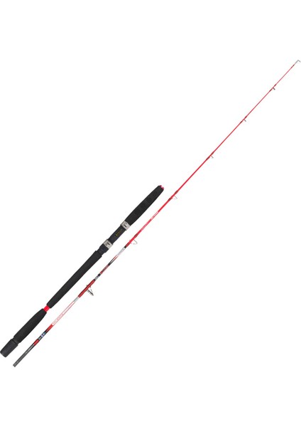 Valentia Olta Kamışı