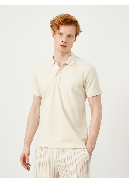 Polo Yaka %100 Pamuk Regular Fit Basic Tişört