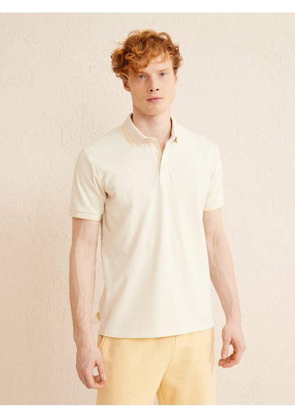 Polo Yaka %100 Pamuk Slim Fit Basic Tişört