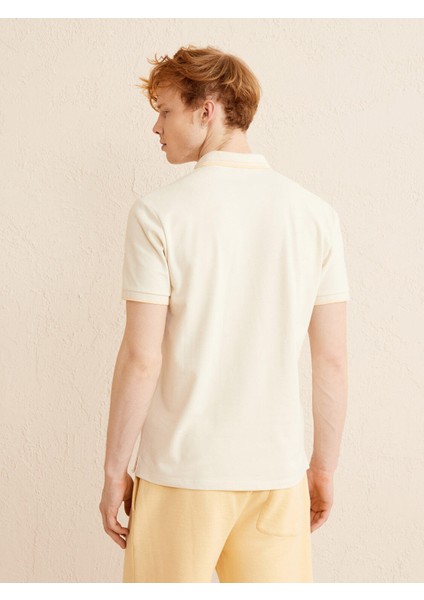 Polo Yaka %100 Pamuk Slim Fit Basic Tişört