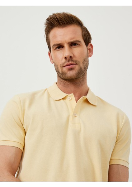 Polo Yaka %100 Pamuk Regular Fit Basic Tişört