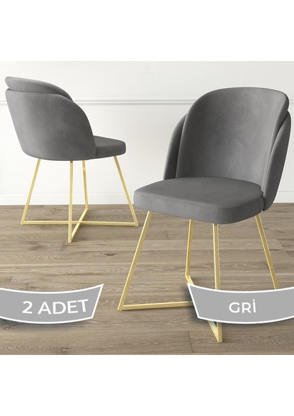 Concept Pape Serisi 2 Adet Yemek Odası Sandalyesi Çift Papel Metal Gold Ayaklı Babyface Kumaş