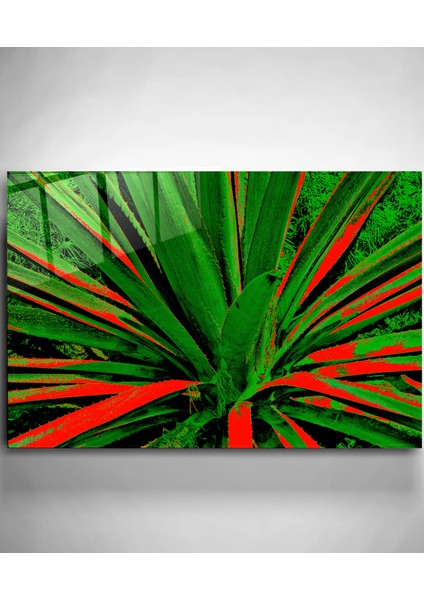 Alaca Yapraklı Bitki Cam Tablo, Dekoratif Cam Tablo