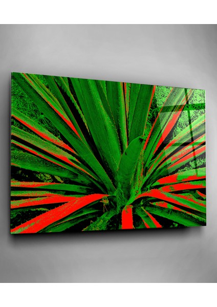 Alaca Yapraklı Bitki Cam Tablo, Dekoratif Cam Tablo fiyatları