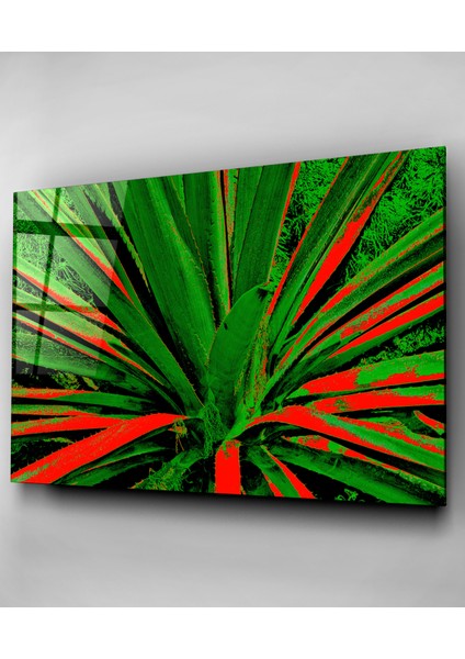 Alaca Yapraklı Bitki Cam Tablo, Dekoratif Cam Tablo fırsatları