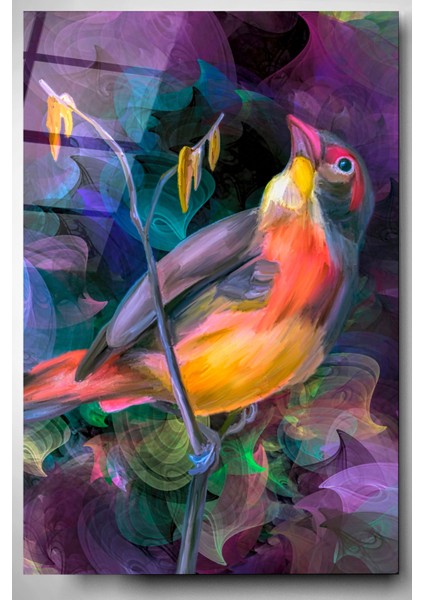 Renkli Kuş Cam Tablo, Dekoratif Cam Tablo