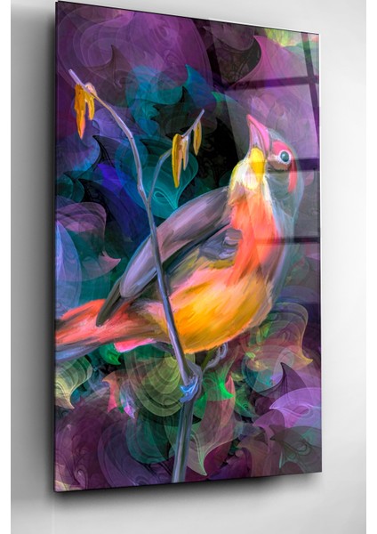 Renkli Kuş Cam Tablo, Dekoratif Cam Tablo fiyatları