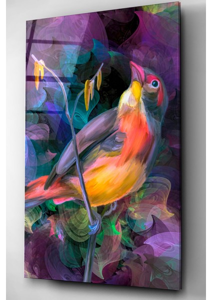 Renkli Kuş Cam Tablo, Dekoratif Cam Tablo fırsatları