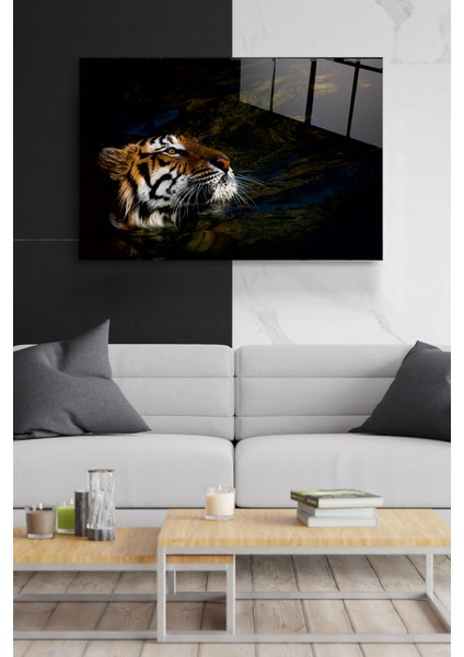 Kaplan Cam Tablo, Dekoratif Cam Tablo