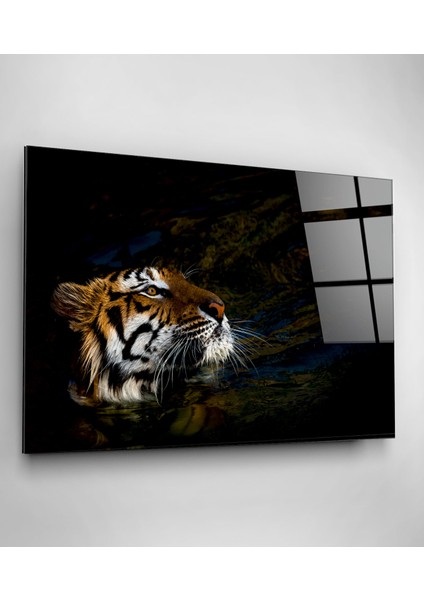 Kaplan Cam Tablo, Dekoratif Cam Tablo fiyatları