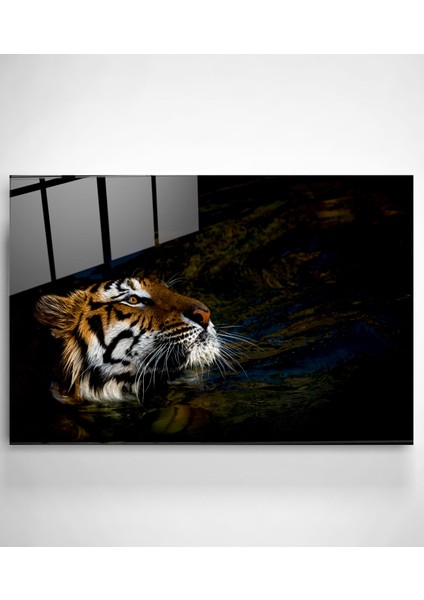 Kaplan Cam Tablo, Dekoratif Cam Tablo modelleri