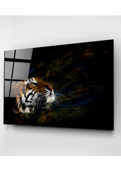 Kaplan Cam Tablo, Dekoratif Cam Tablo fırsatları