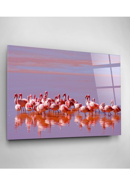 Flamingolar Cam Tablo, Dekoratif Cam Tablo fiyatları