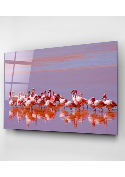 Flamingolar Cam Tablo, Dekoratif Cam Tablo fırsatları