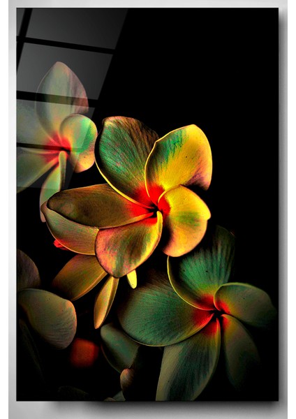 Çiçek Cam Tablo, Dekoratif Cam Tablo