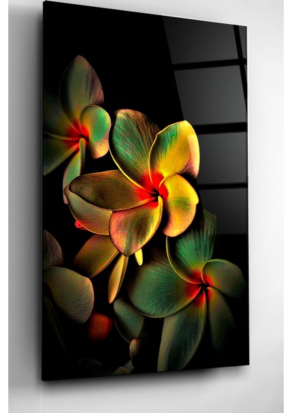 Çiçek Cam Tablo, Dekoratif Cam Tablo fiyatları