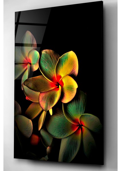 Çiçek Cam Tablo, Dekoratif Cam Tablo fırsatları